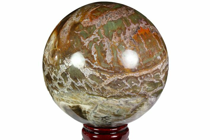 Colorful, Petrified Wood Sphere - Madagascar #118587